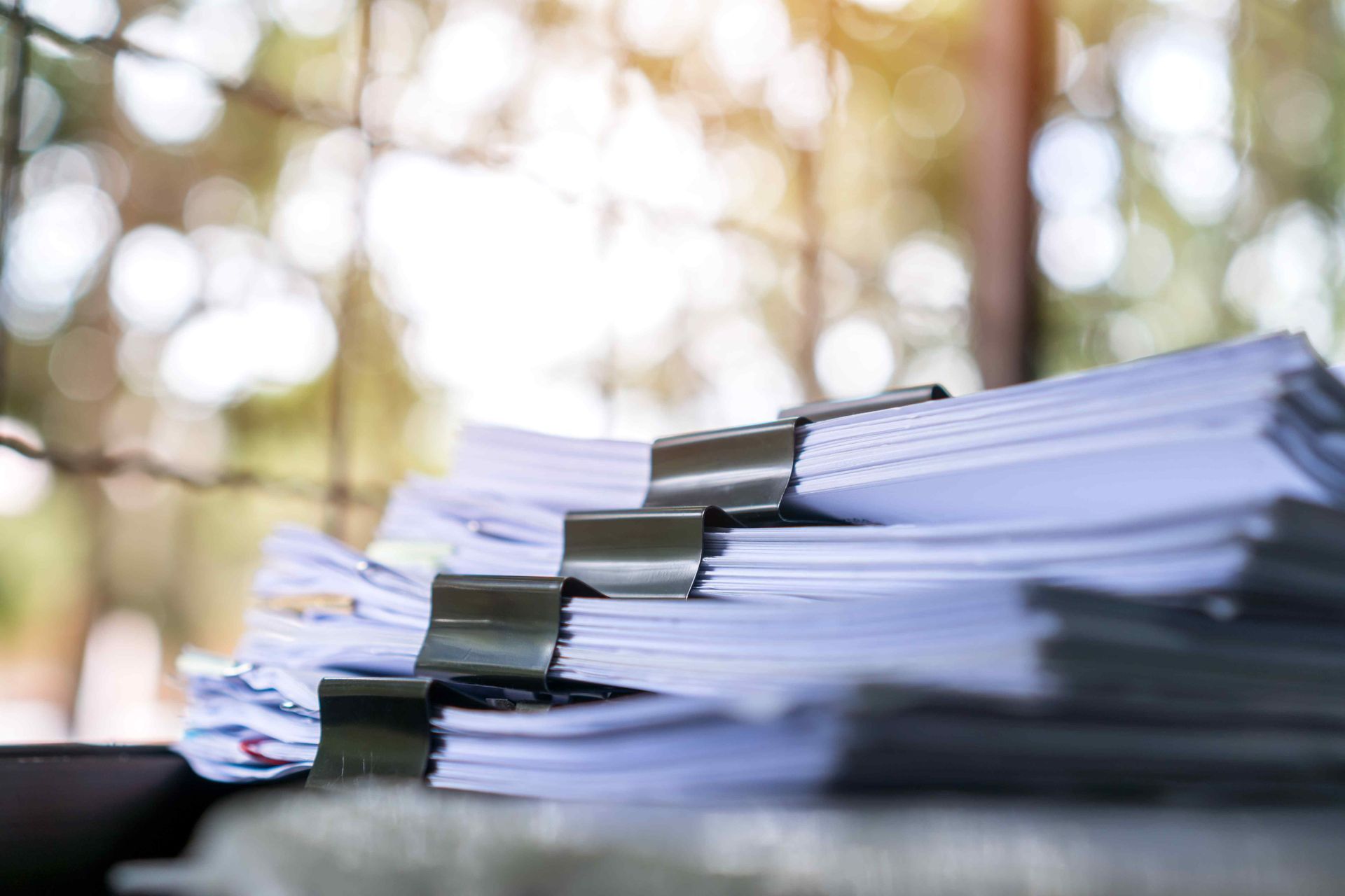 Organized bookkeeping records and financial reports