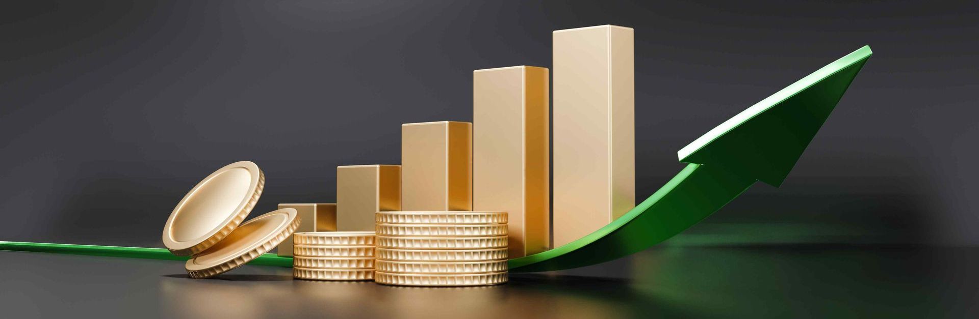 Reviewing a household budget with a financial advisor